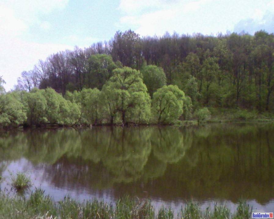 Теребрено. Теребрено Белгородская область. Село Теребрено Краснояружского района Белгородской области. Поповка Краснояружский район Белгородская область. Река Илёк Краснояружского района Белгородской области.